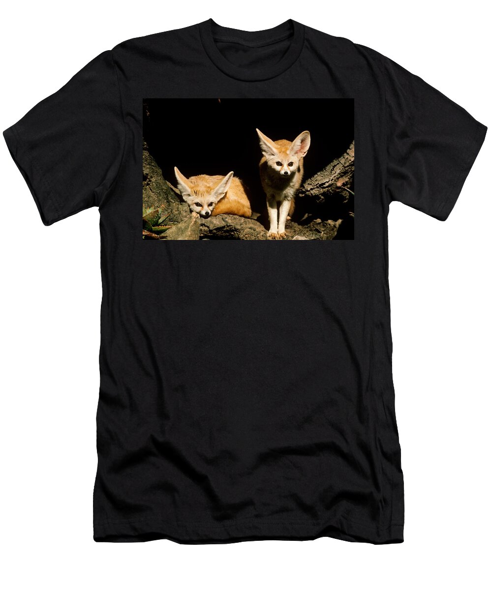 Animal T-Shirt featuring the photograph Fennec Foxes Vulpes Zerda by R. Van Nostrand