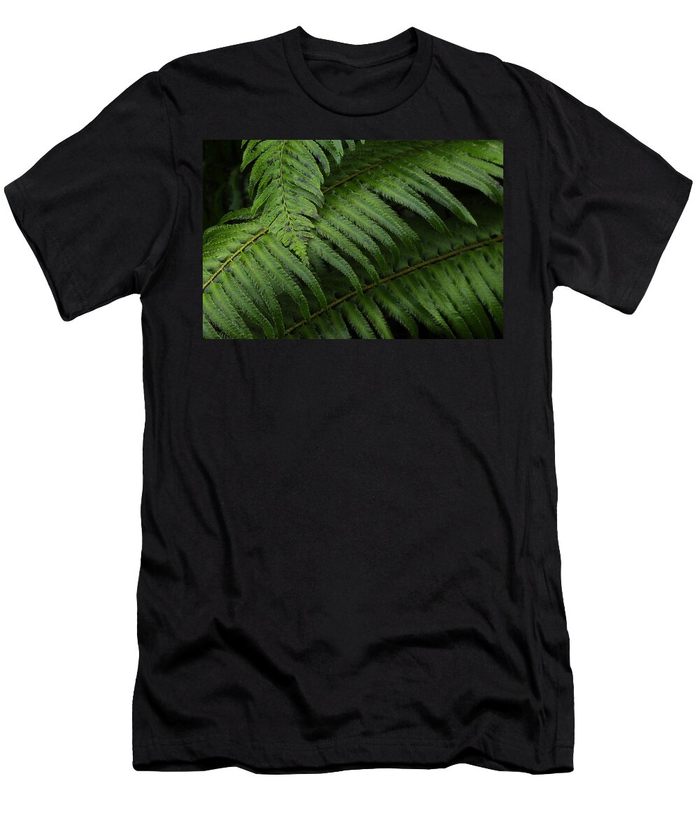 Cool T-Shirt featuring the photograph Ferns In Cascades National Park, Wa by Theodore Clutter
