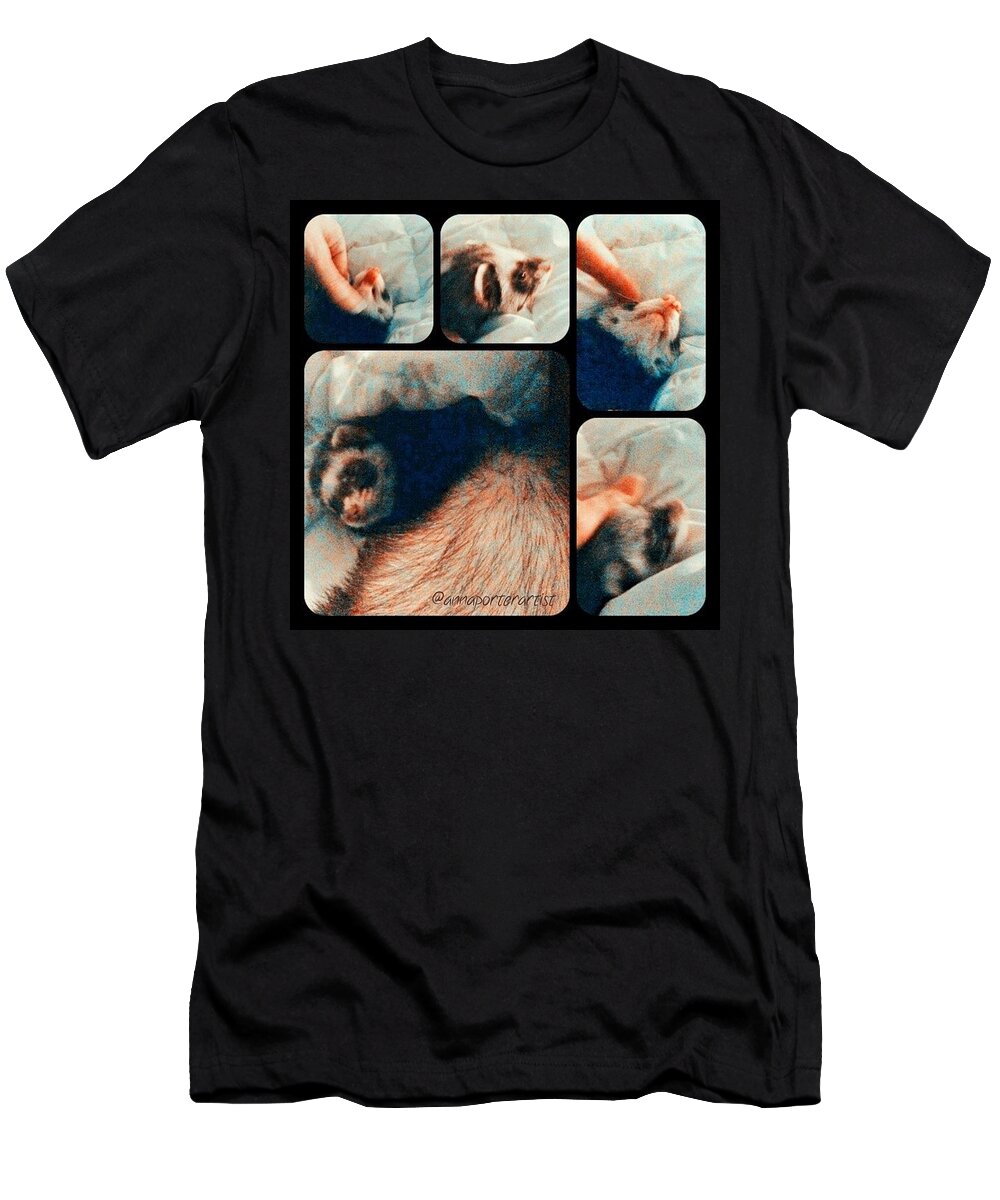Hubpets T-Shirt featuring the photograph Ferret Love - My Adorable Nicky by Anna Porter
