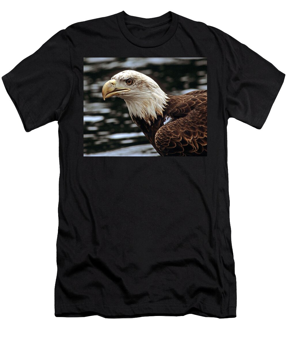 Eagle T-Shirt featuring the photograph Fierce Bald Eagle by Larry Allan