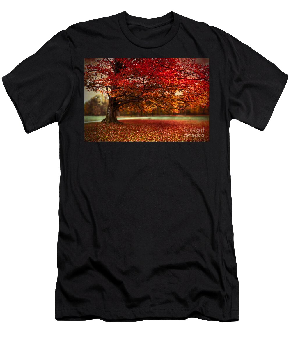 Autumn T-Shirt featuring the photograph Finest Fall by Hannes Cmarits