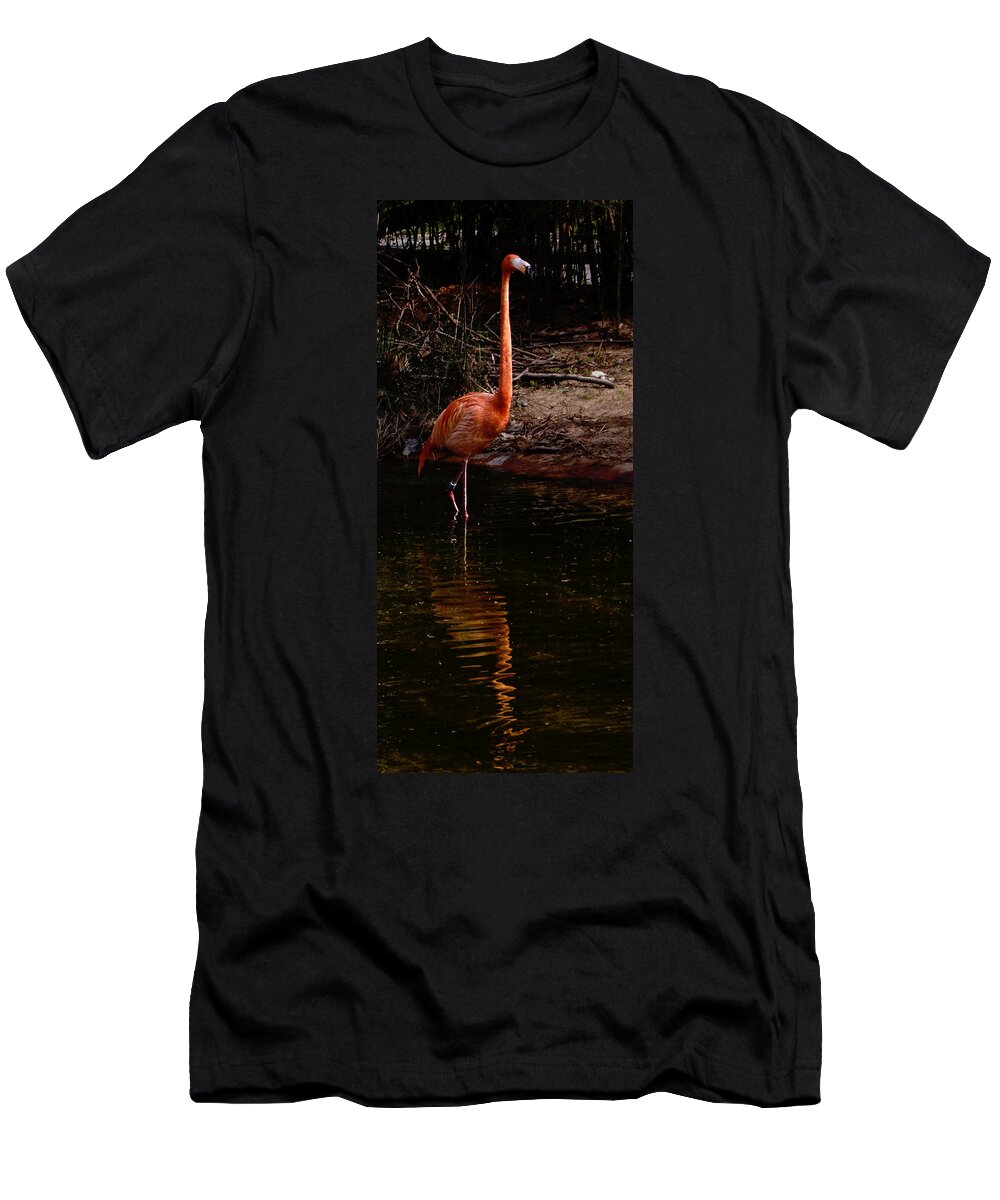 Flamingo T-Shirt featuring the photograph Flamingo at rest. by Weston Westmoreland