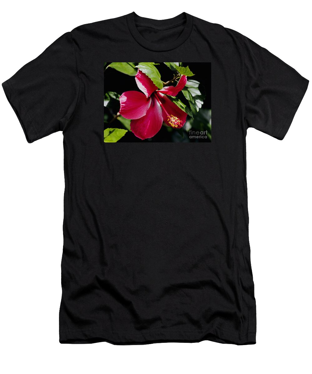 Flower Photography T-Shirt featuring the photograph Flirting by Patricia Griffin Brett