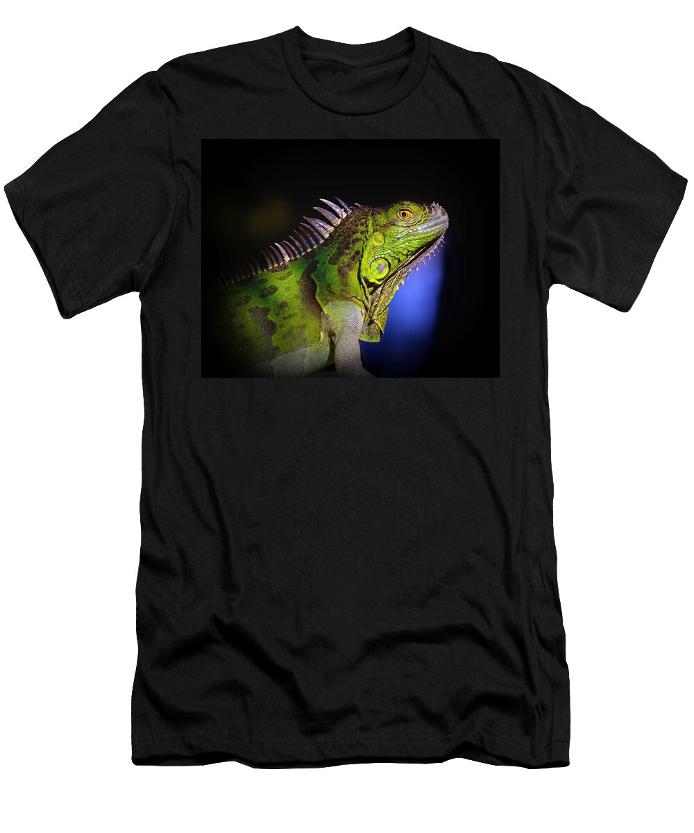 Iguana T-Shirt featuring the photograph Florida Iguana by Mark Andrew Thomas