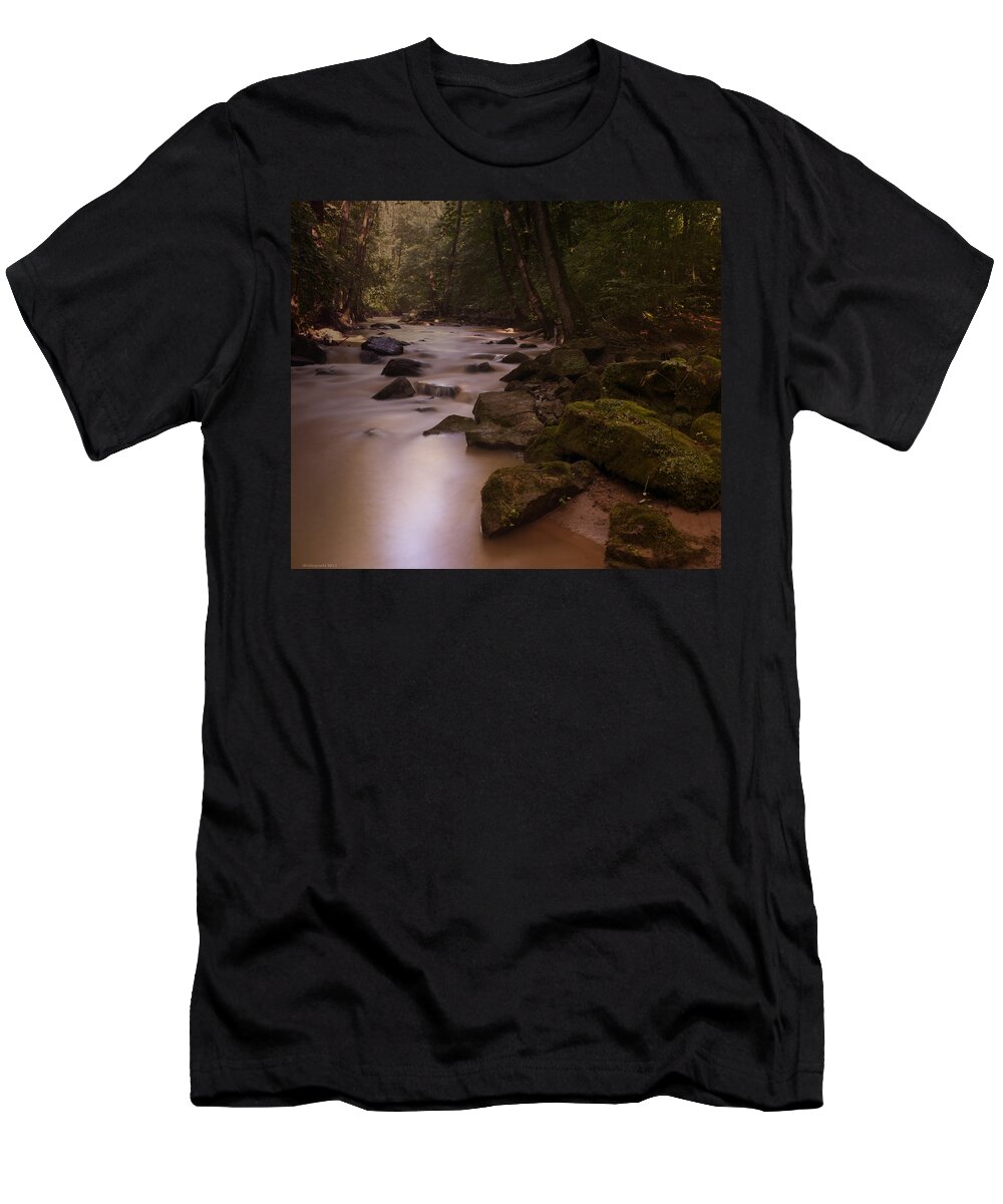 Forest T-Shirt featuring the photograph Forest Creek by Miguel Winterpacht