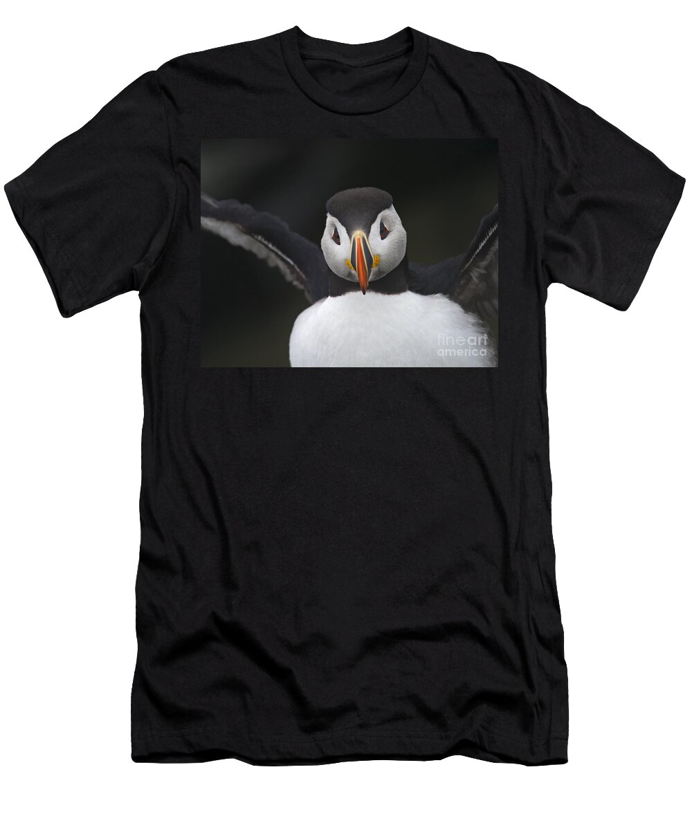 Festblues T-Shirt featuring the photograph FrankenPuffin... by Nina Stavlund