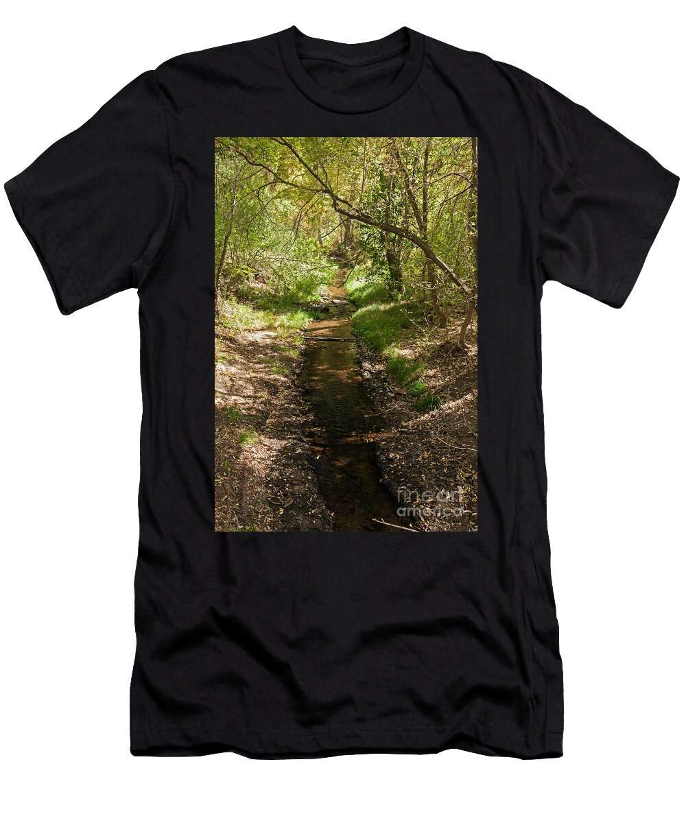 Afternoon T-Shirt featuring the photograph Frijole Creek Bandelier National Monument by Fred Stearns