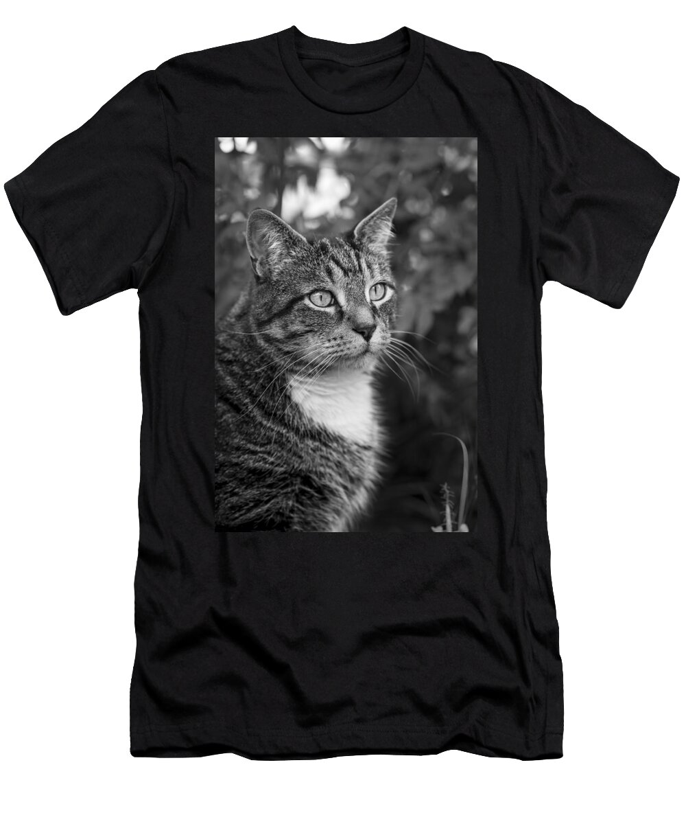 Andrew Pacheco T-Shirt featuring the photograph Garden Sentry by Andrew Pacheco