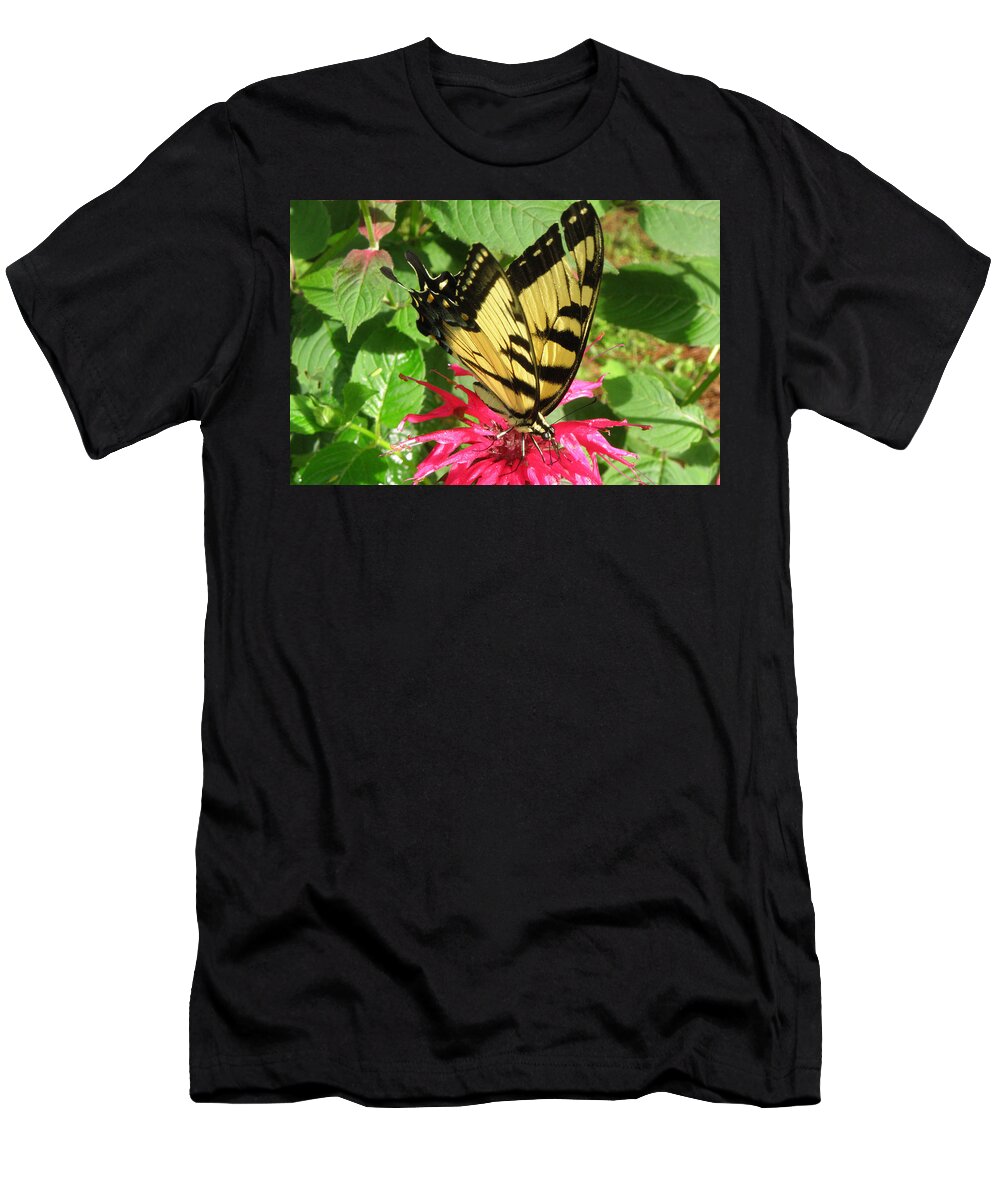 Flower T-Shirt featuring the photograph Gathering Nectar by Kim Galluzzo