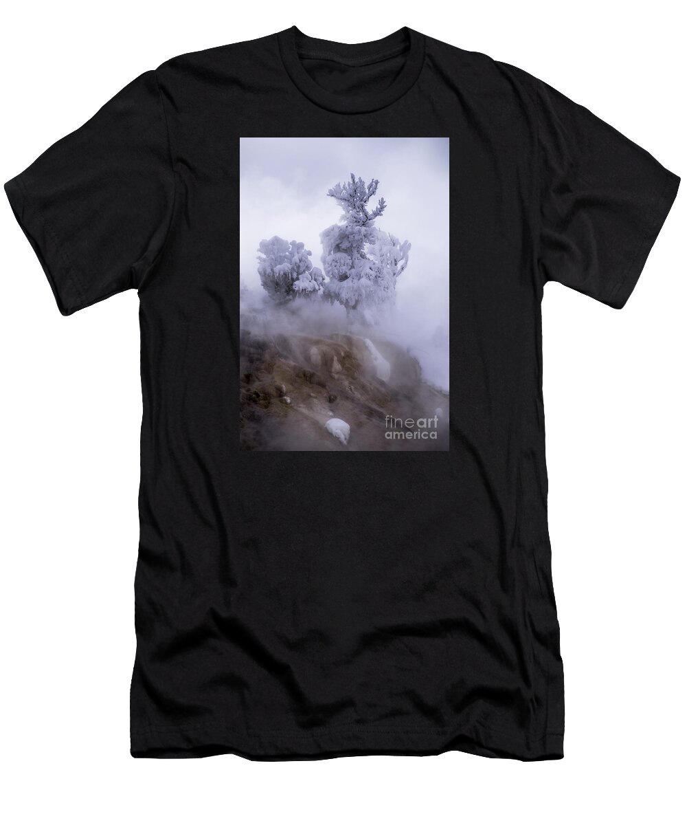 Scenic T-Shirt featuring the photograph Ghost Tree by Richard Verkuyl