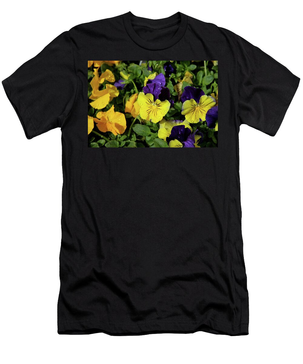 Giant Garden Pansies T-Shirt featuring the photograph Giant Garden Pansies by Ed Riche