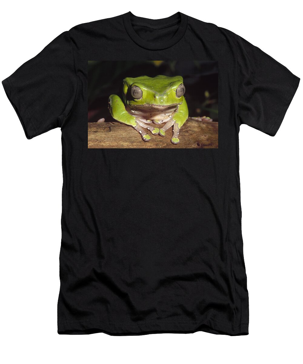 Feb0514 T-Shirt featuring the photograph Giant Monkey Frog Venezuela by Gerry Ellis