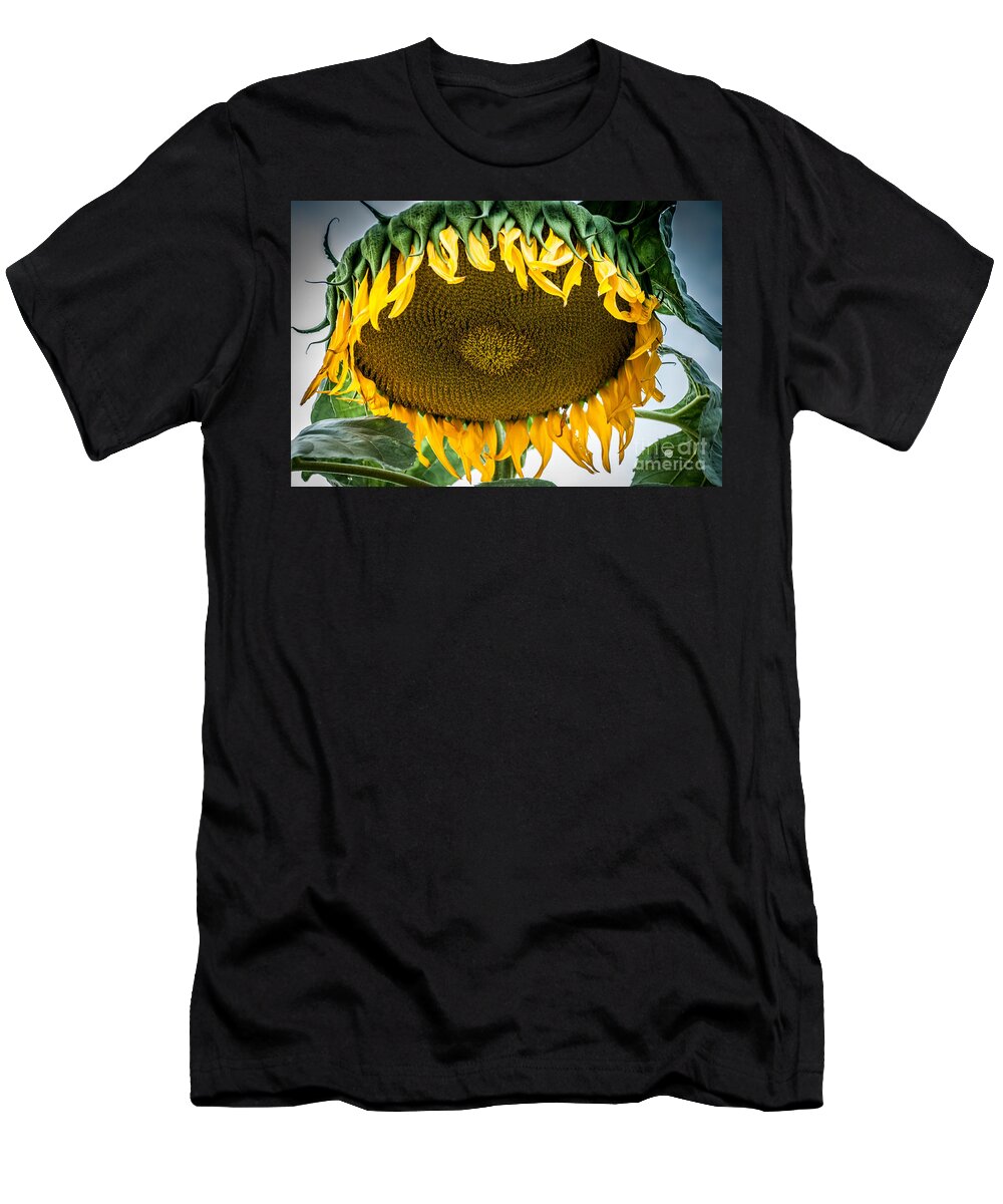 Sun Flower T-Shirt featuring the photograph Giant Sun Flower by Ronald Grogan