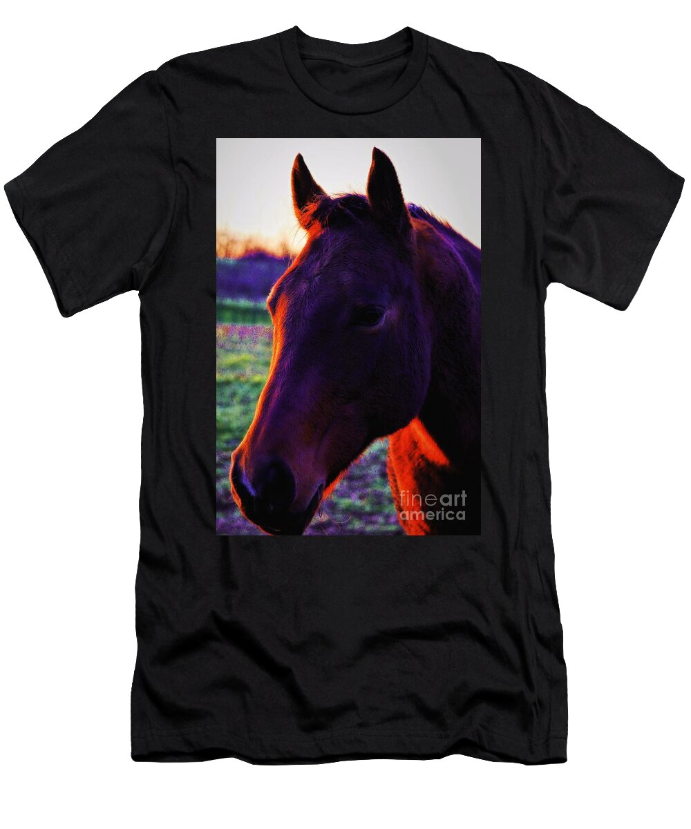Horses T-Shirt featuring the photograph Glamour Shot by Robert McCubbin