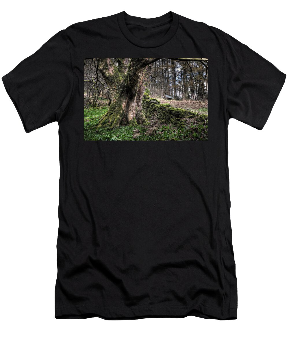 Glenariff T-Shirt featuring the photograph Glenariff Forest by Nigel R Bell