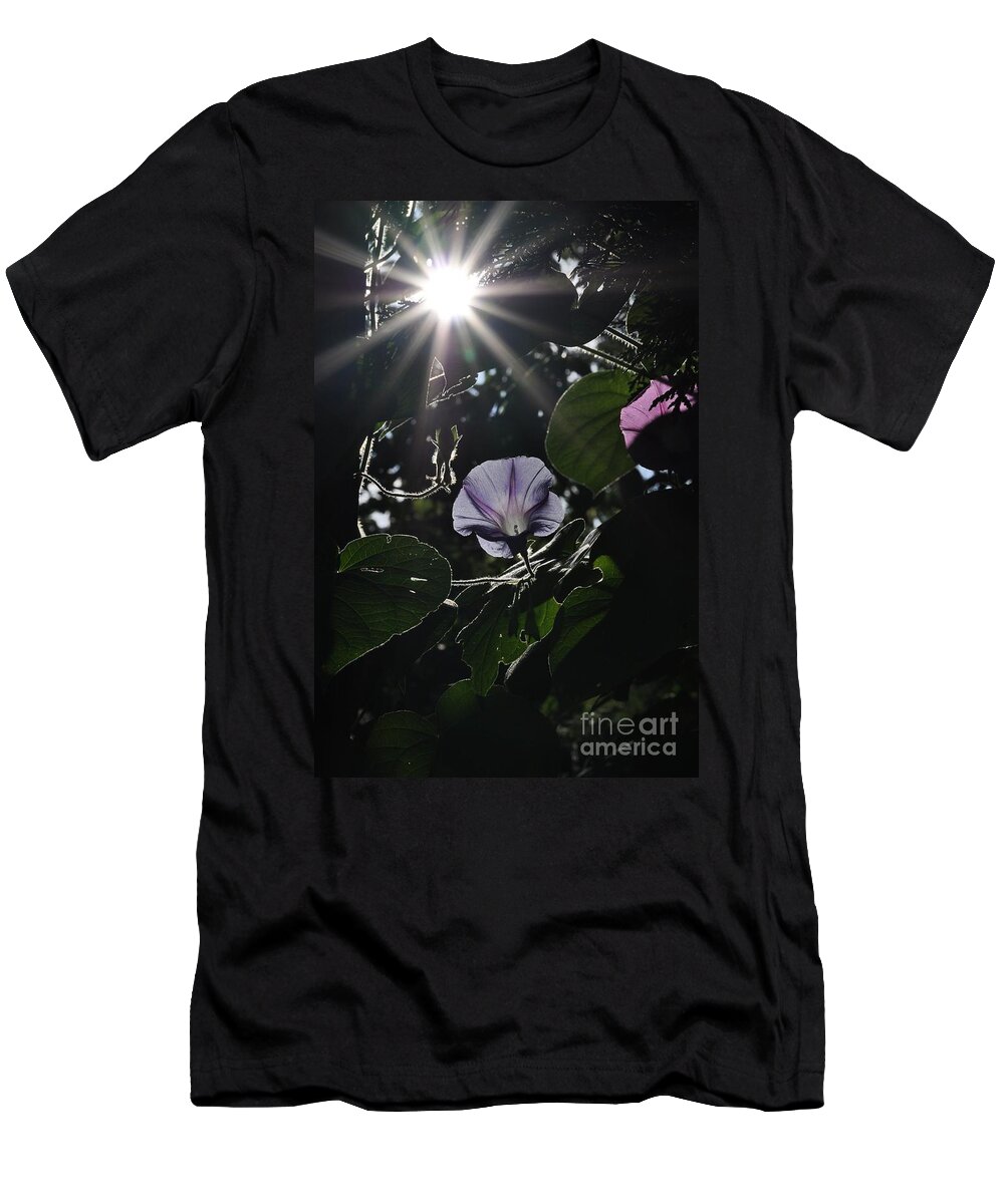 Morning Glory T-Shirt featuring the photograph Glorious by Cheryl Baxter