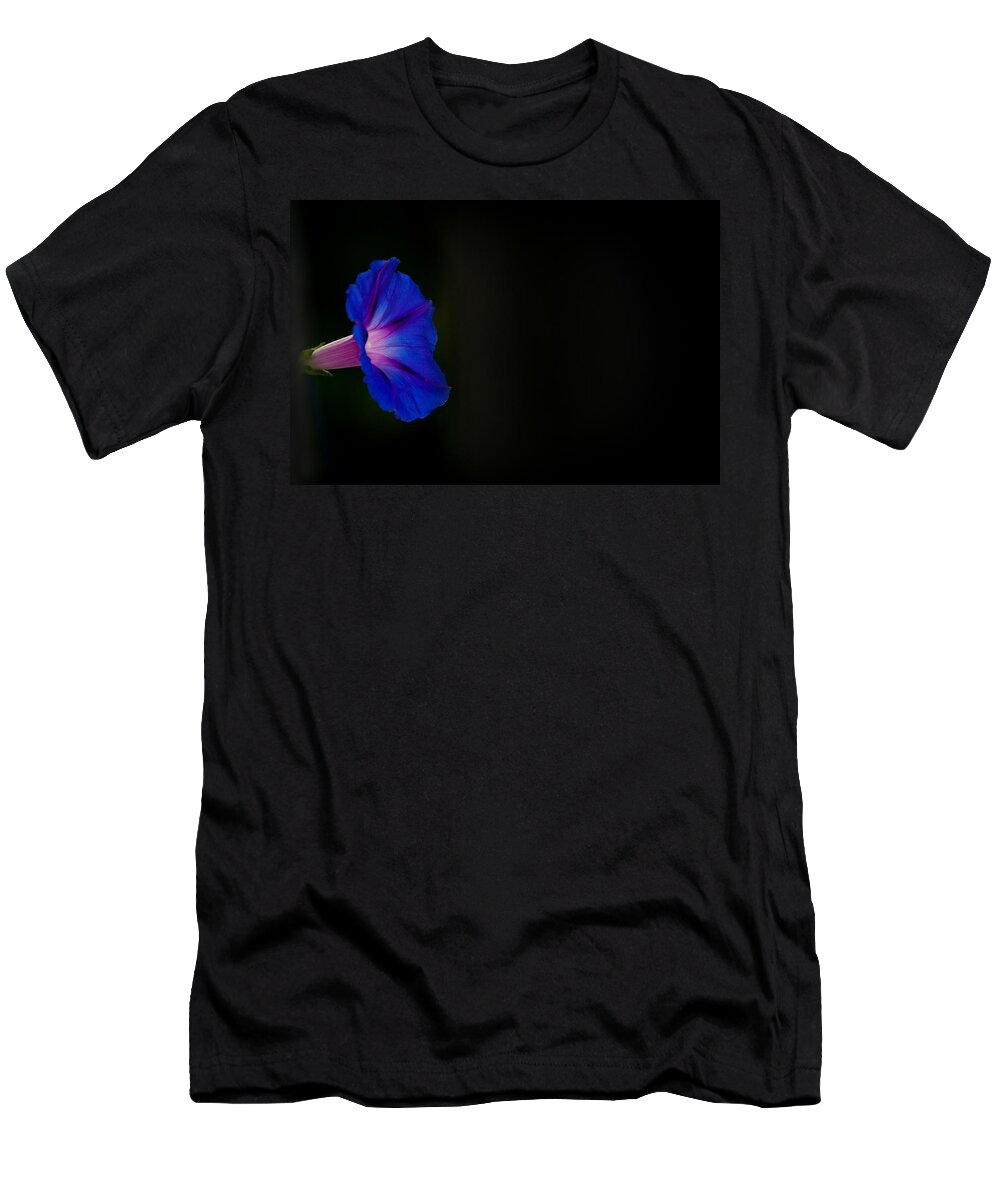 Morning Glory T-Shirt featuring the photograph Glorious Simplicity by Cheryl Baxter