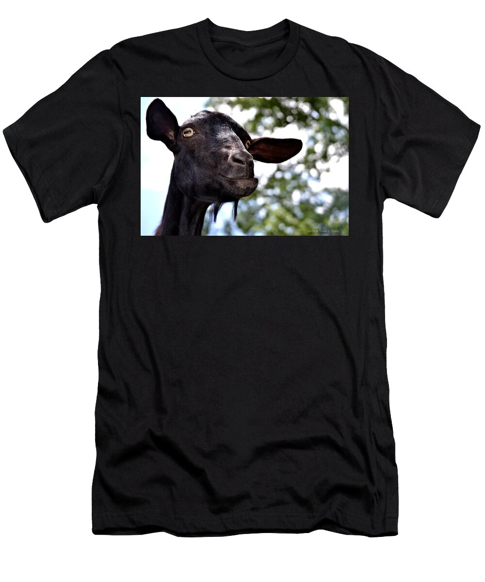 Goat T-Shirt featuring the photograph Goat by Tara Potts