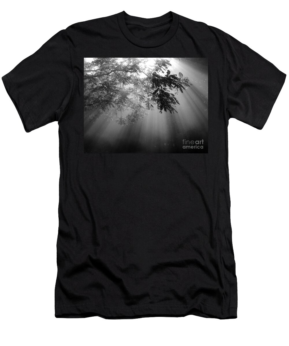 Fog T-Shirt featuring the photograph God Rays by Douglas Stucky