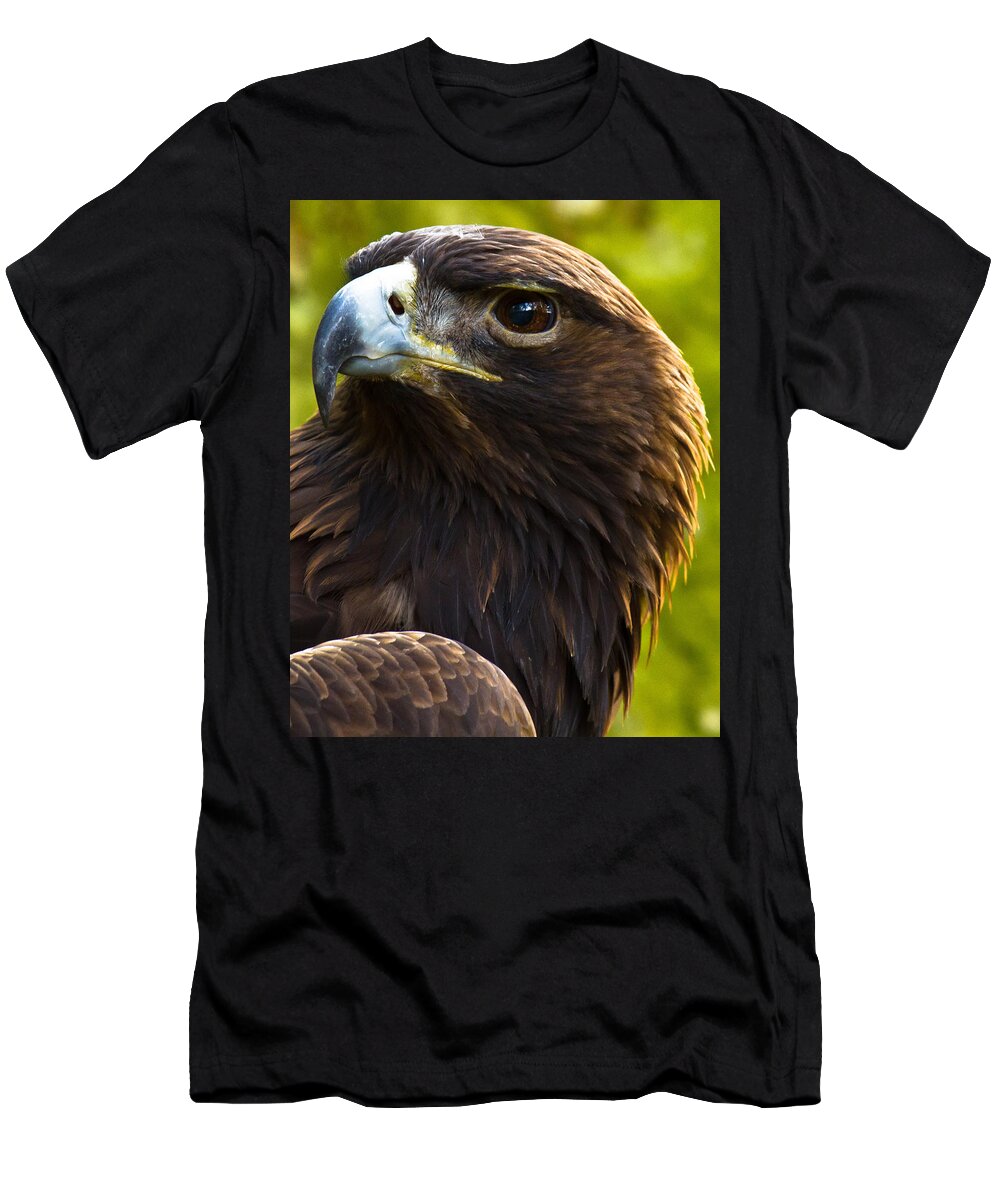 Golden Eagle T-Shirt featuring the photograph Golden Eagle by Robert L Jackson