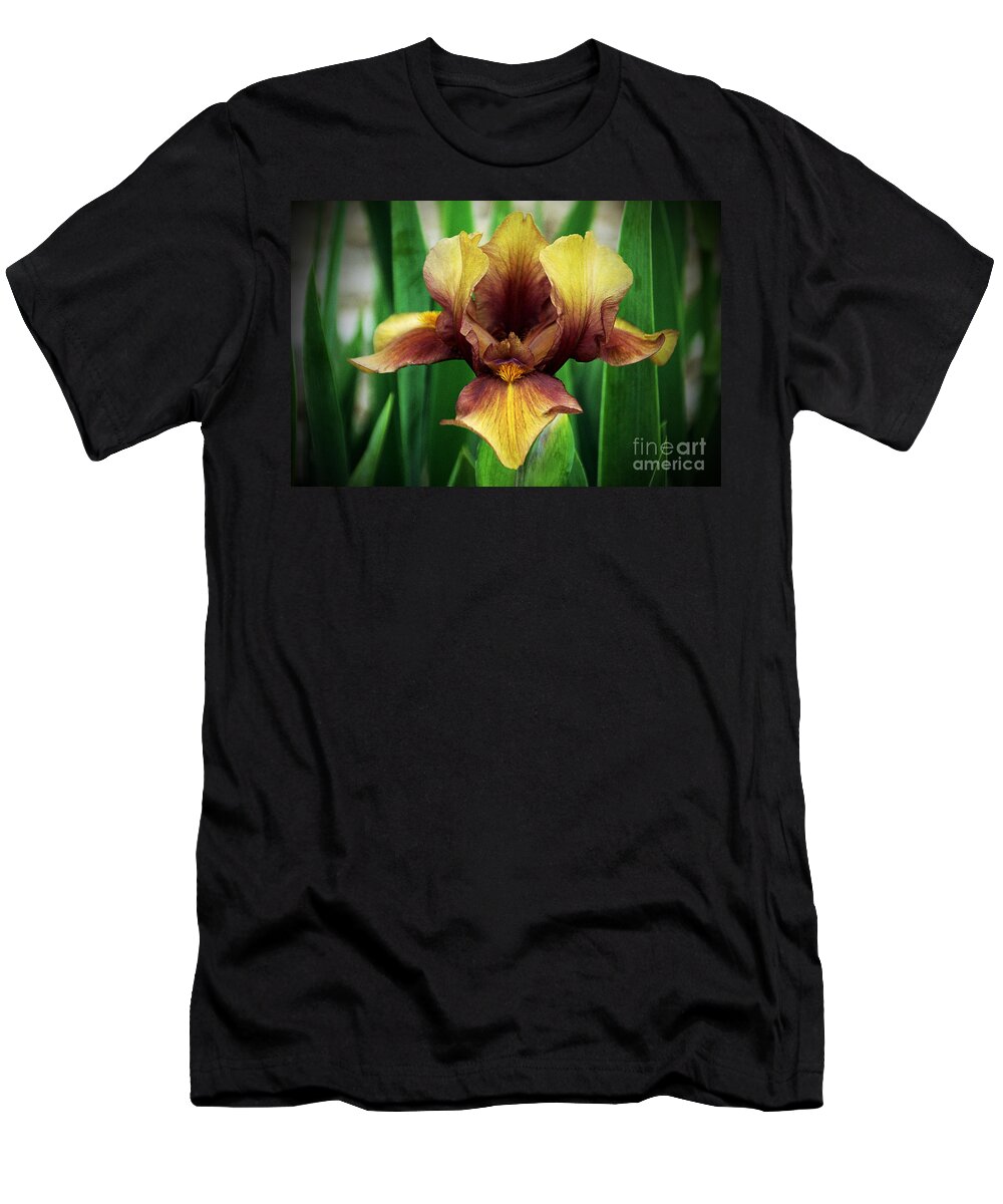 Gold And Brown Iris T-Shirt featuring the photograph Golden iris by Elizabeth Winter