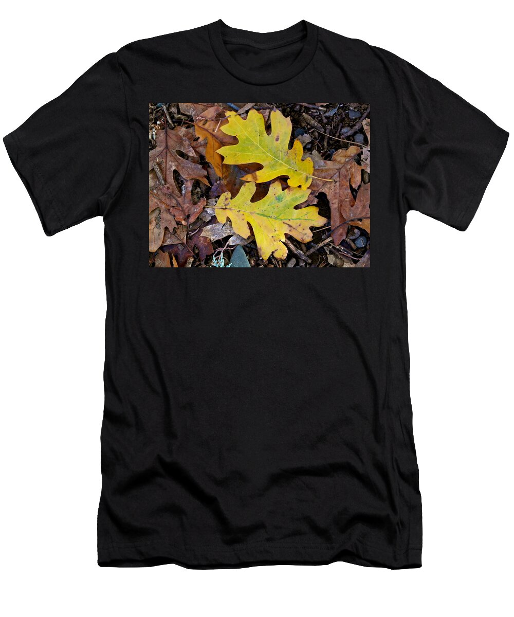 California Black Oak T-Shirt featuring the photograph Golden Oak Leaf Duet by Michele Myers