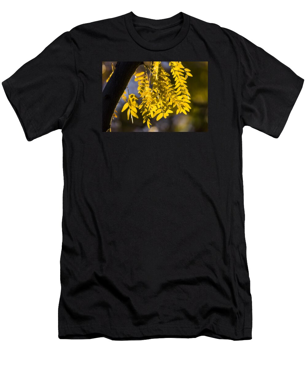 Golden Rain T-Shirt featuring the photograph Golden Rain by Chad Dutson