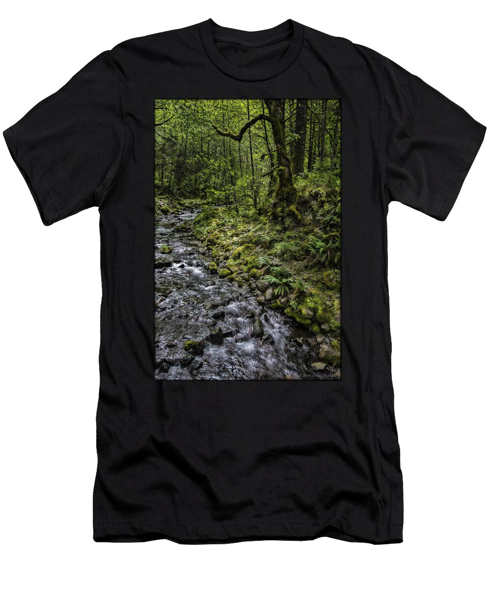 Creek T-Shirt featuring the photograph Gorton Creek by Erika Fawcett