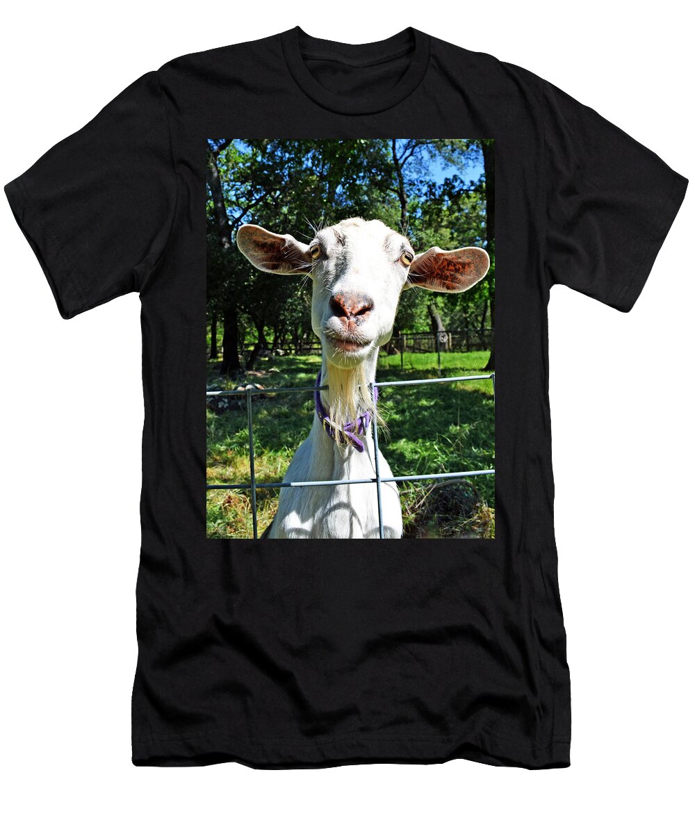 Goat T-Shirt featuring the photograph Got Your Goat by Holly Blunkall