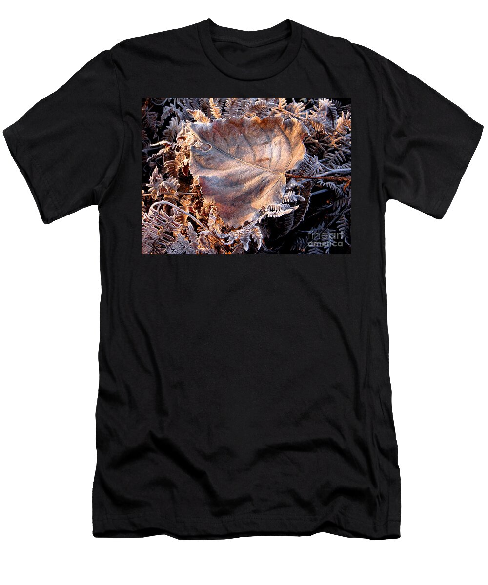 Fall T-Shirt featuring the photograph Graced By Frost by Rory Siegel