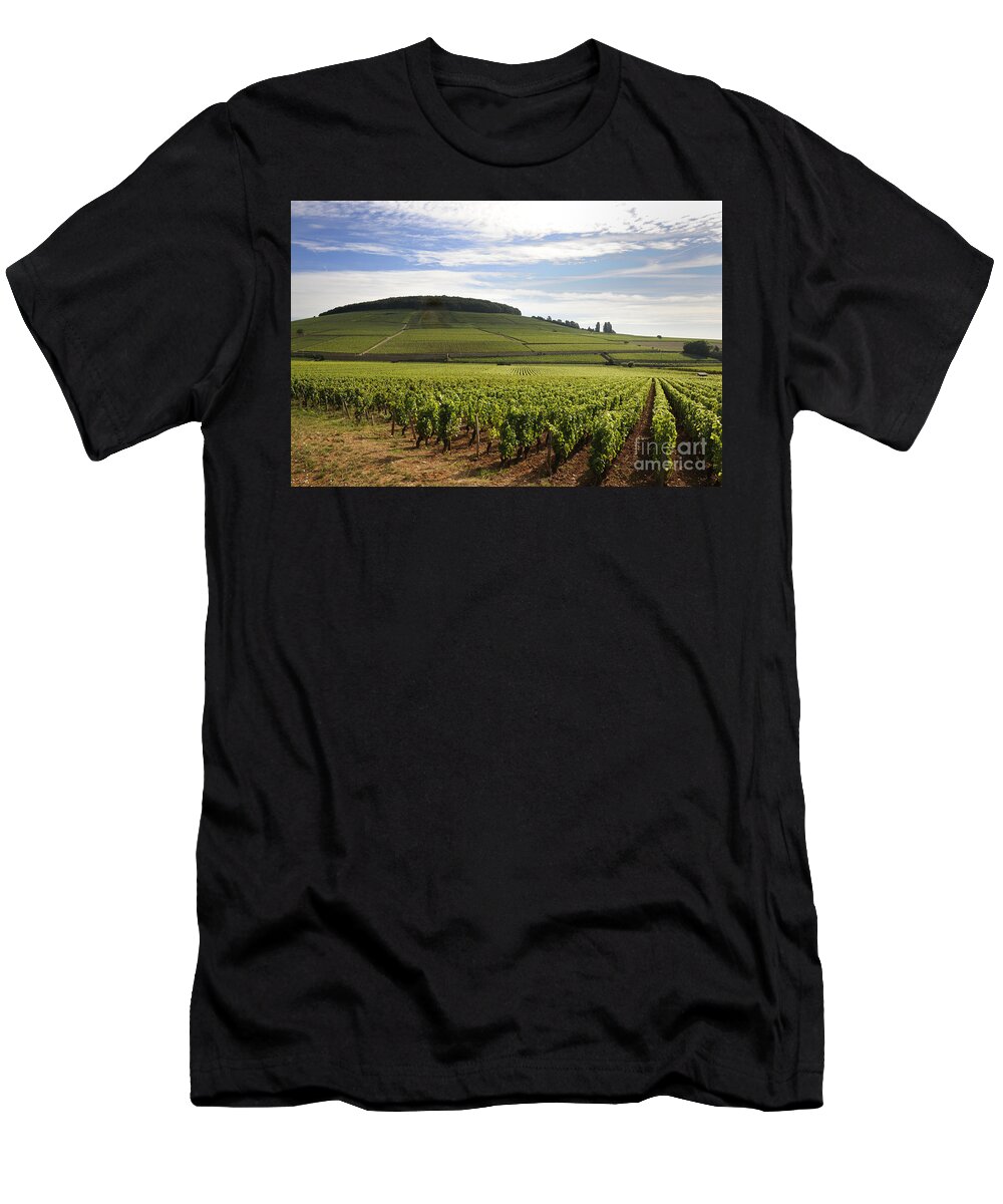  Agriculture  T-Shirt featuring the photograph Grand cru and premier cru vineyards of Aloxe Corton. Cote de Beaune. Burgundy. by Bernard Jaubert