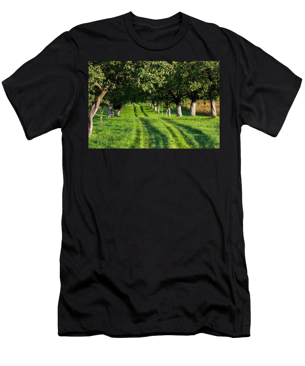 Alley T-Shirt featuring the photograph Grassy Street Through Alley by Andreas Berthold