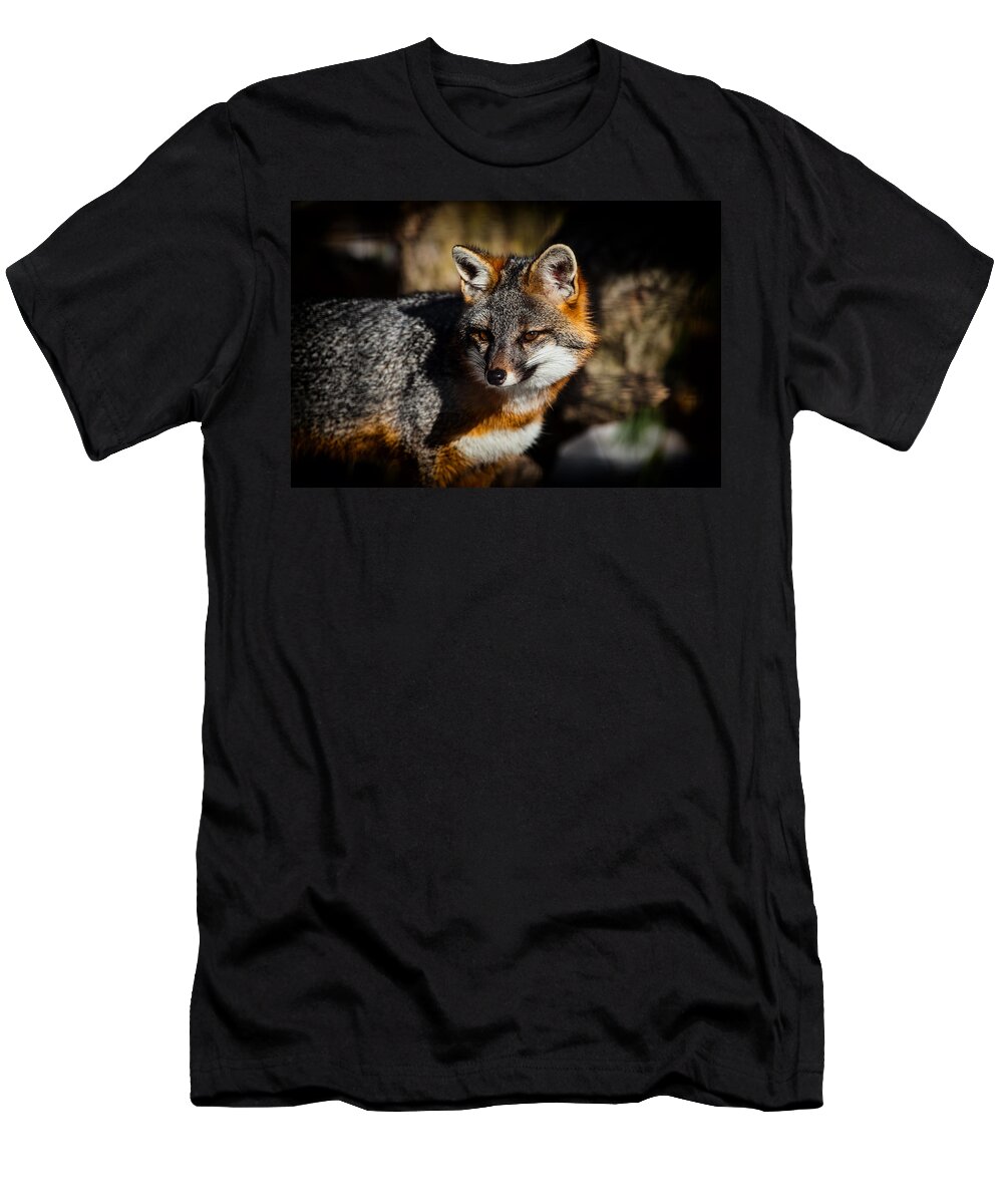Gray Fox T-Shirt featuring the photograph Gray Fox by Karol Livote