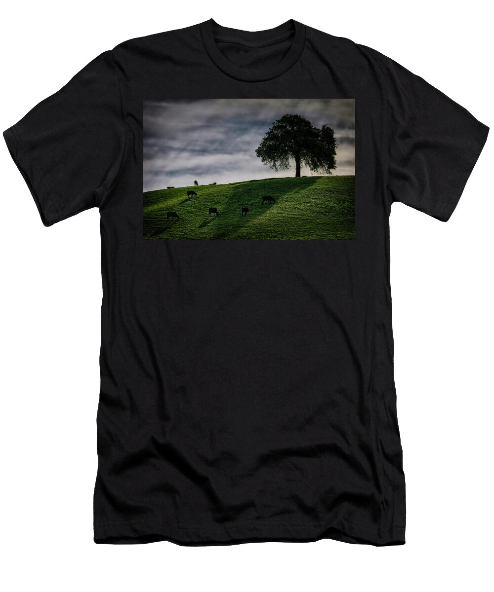Cow T-Shirt featuring the photograph Grazing Near A Solitary Tree by Robert Woodward