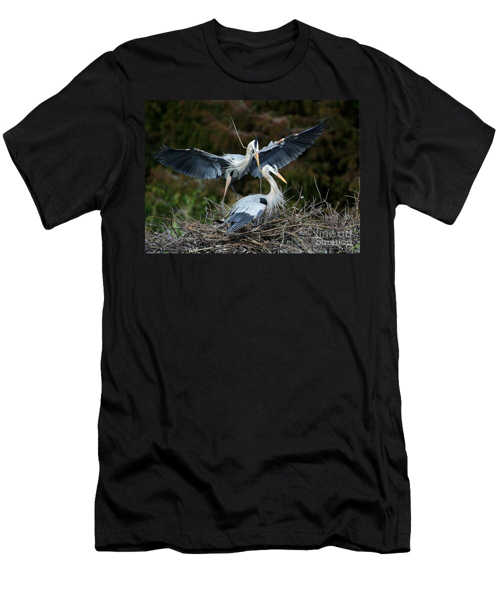 Heron T-Shirt featuring the photograph Great Blue Herons Nesting by Sabrina L Ryan