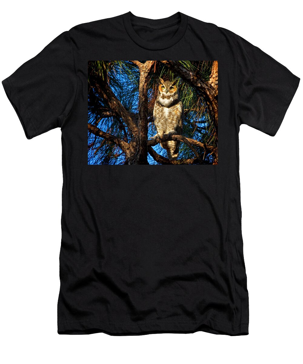 Owl T-Shirt featuring the photograph Great Horned Owl by Mark Andrew Thomas