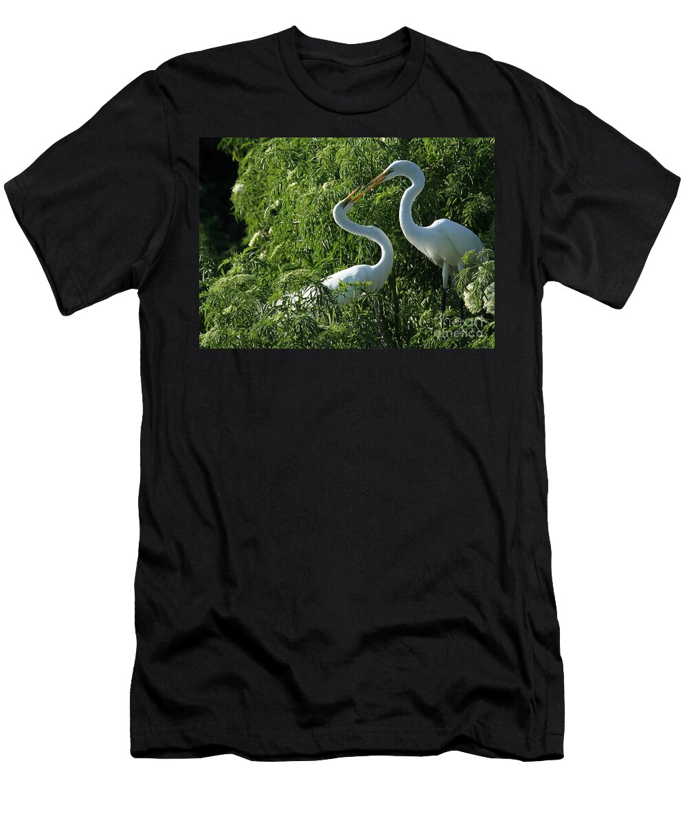 Great White Egrets T-Shirt featuring the photograph Great White Egret Lovers by Sabrina L Ryan