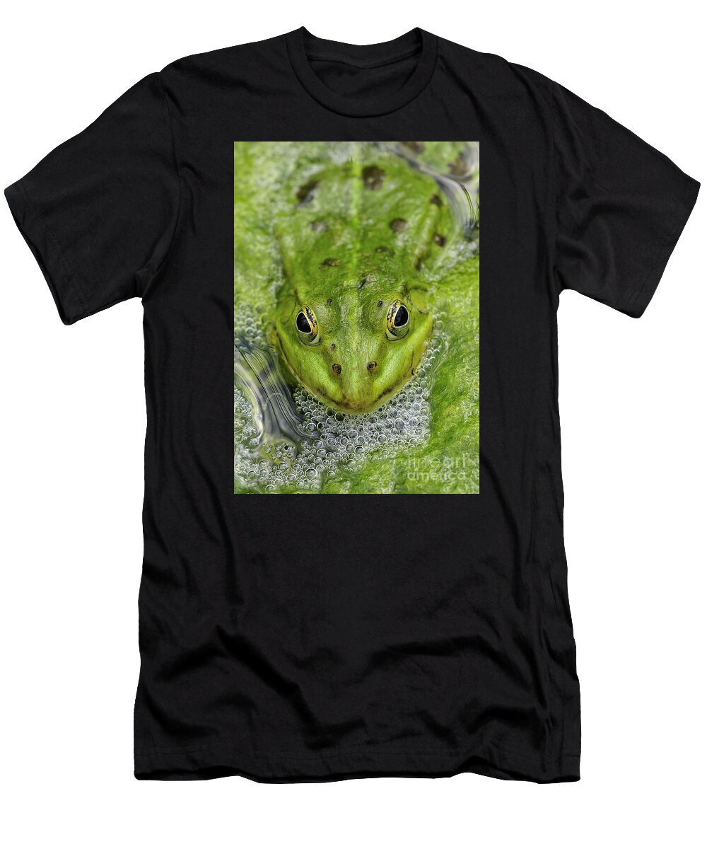 Frog T-Shirt featuring the photograph Green Frog by Matthias Hauser