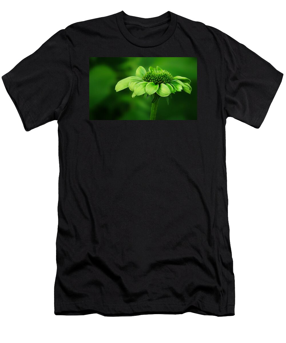 Echinacea T-Shirt featuring the photograph Green Jewel - Cone Flower - Echinacea by Nikolyn McDonald
