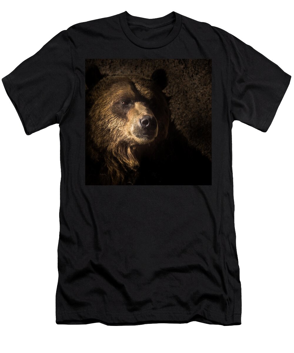 Animals T-Shirt featuring the photograph Grizzly 2 by Ernest Echols
