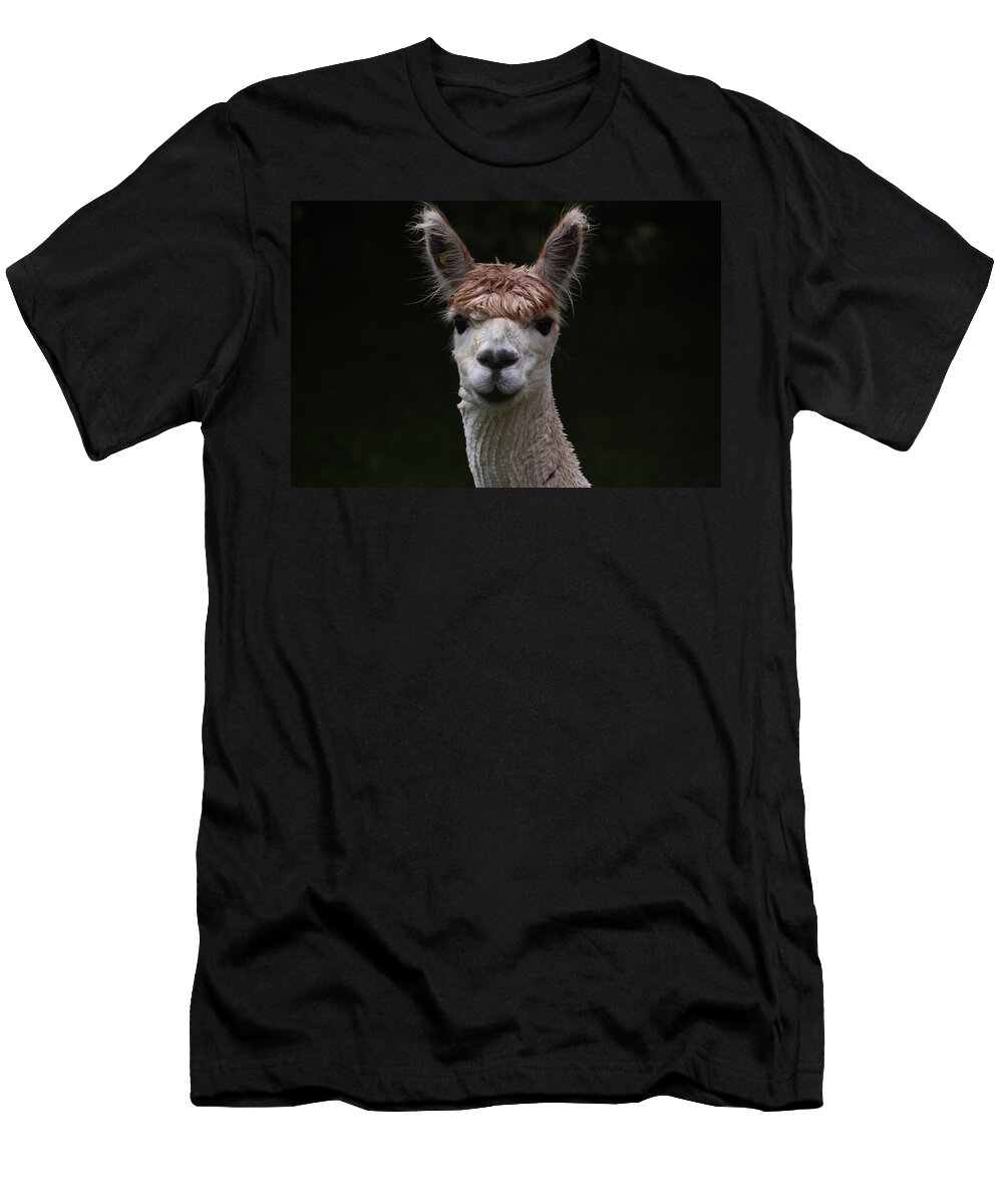 Alpaca T-Shirt featuring the painting Hairstyle number 4 by Tom Conway