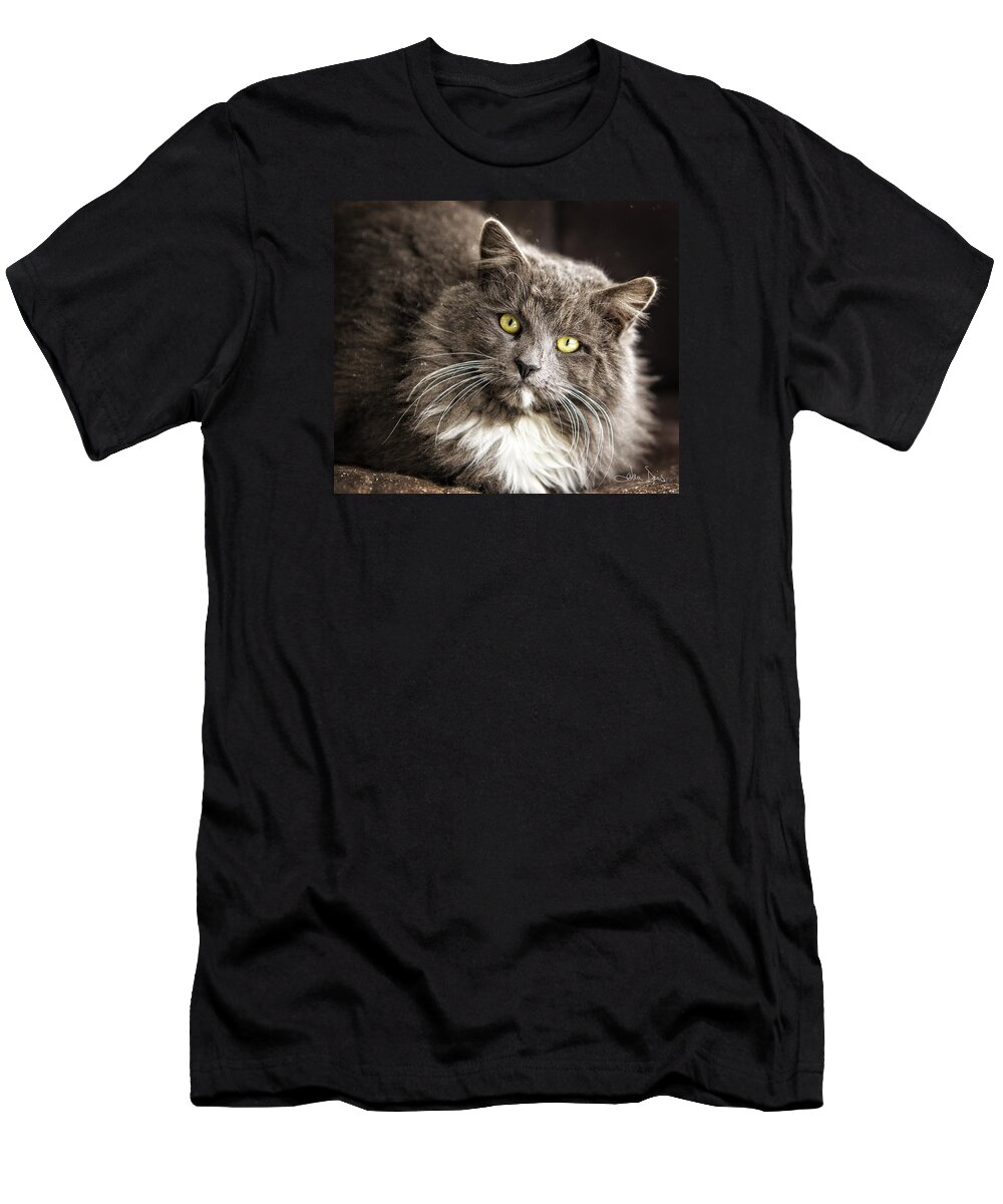 Flatlandsfoto T-Shirt featuring the photograph Hairy Ears by Joan Davis