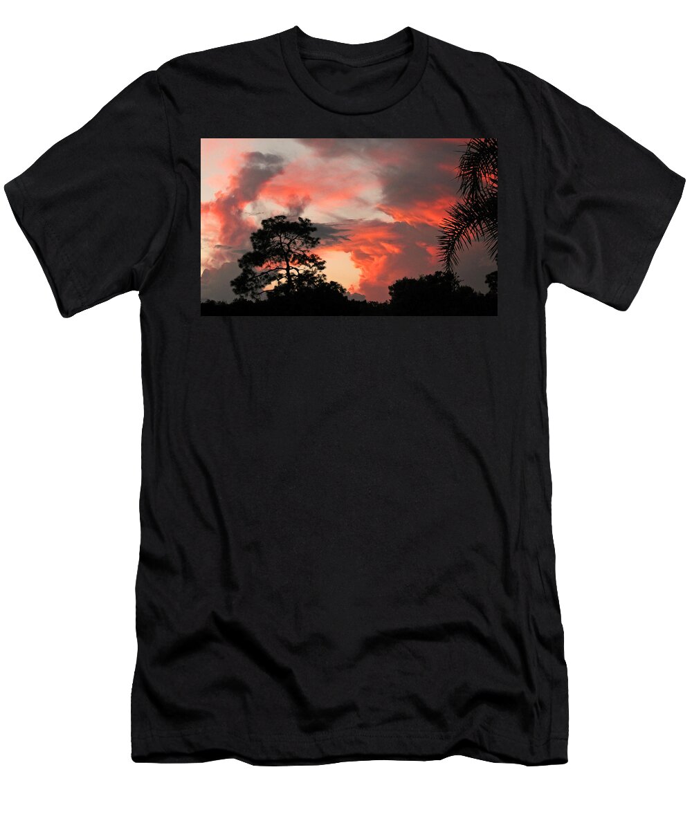 Landscapes T-Shirt featuring the photograph Heavenly Bridge by Peggy Urban