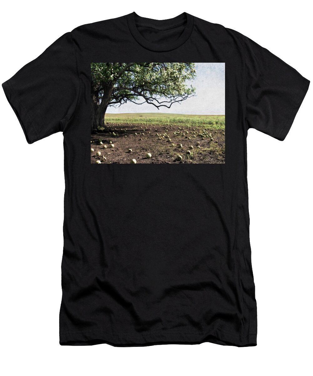 Hedgeapple Tree T-Shirt featuring the photograph Hedgeapple Paradise by Eric Benjamin
