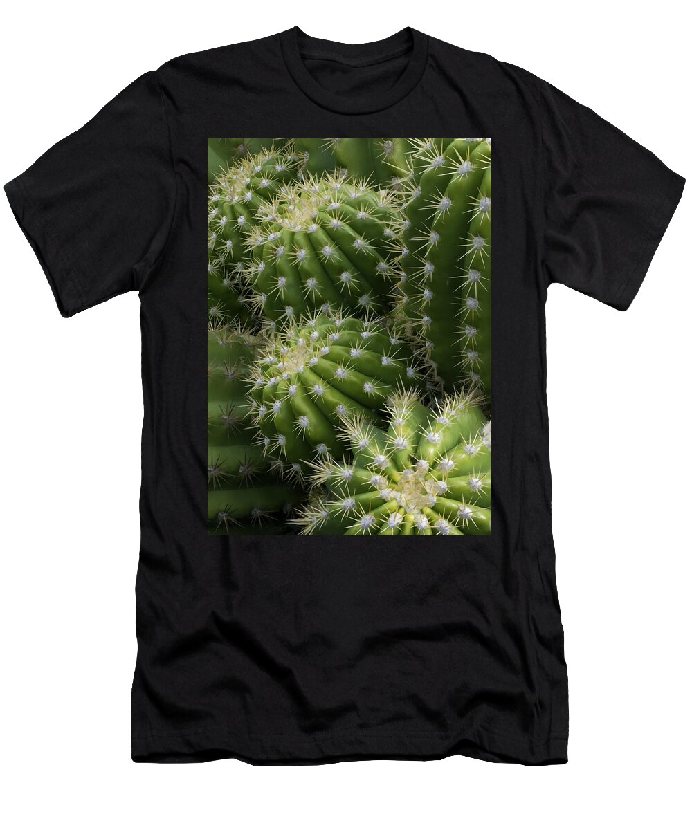 Hedgehog Cactus T-Shirt featuring the photograph Hedgehog Cactus Echinopsis by Ram Vasudev