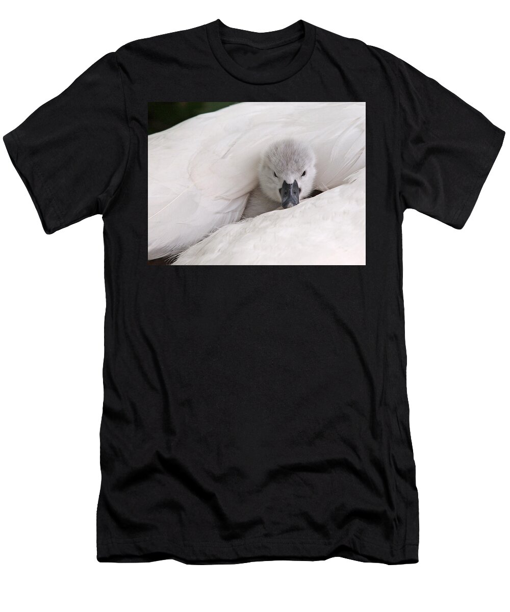 Cygnet T-Shirt featuring the photograph Hello World by Gill Billington