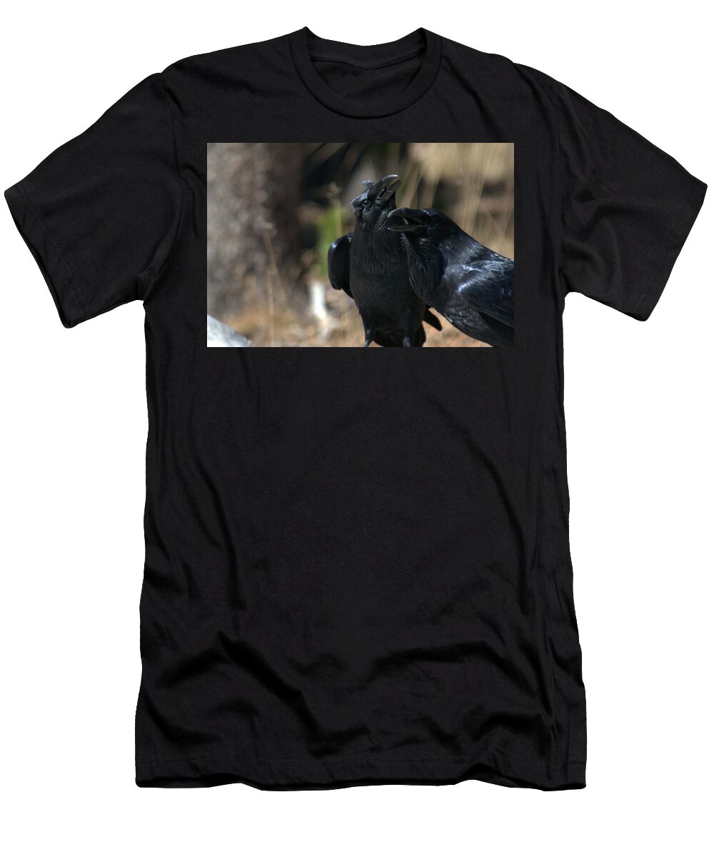 Raven T-Shirt featuring the photograph Here he is by Frank Madia