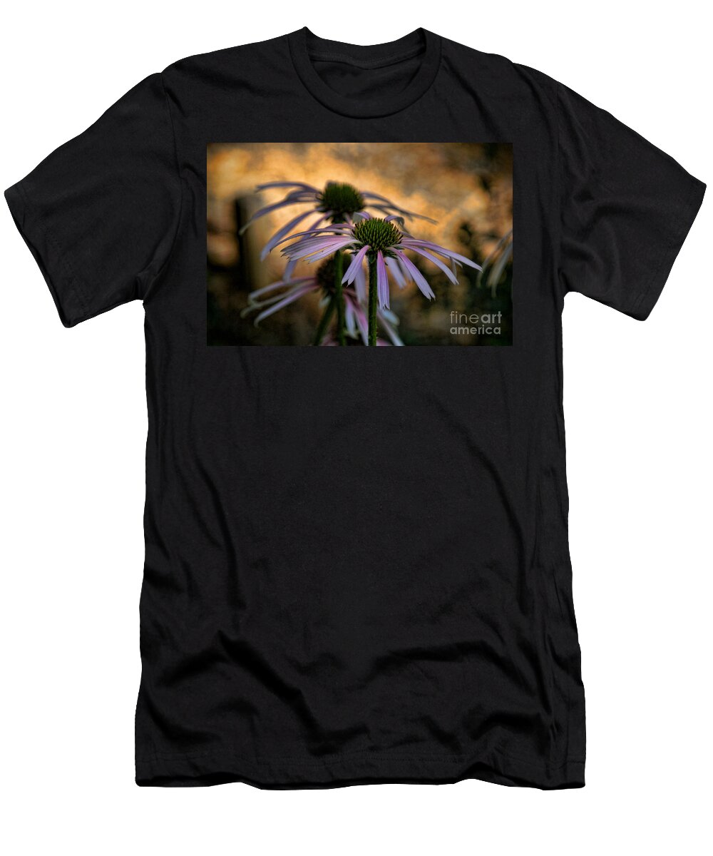Shadow And Light T-Shirt featuring the photograph Hiding In The Shadows by Peggy Hughes