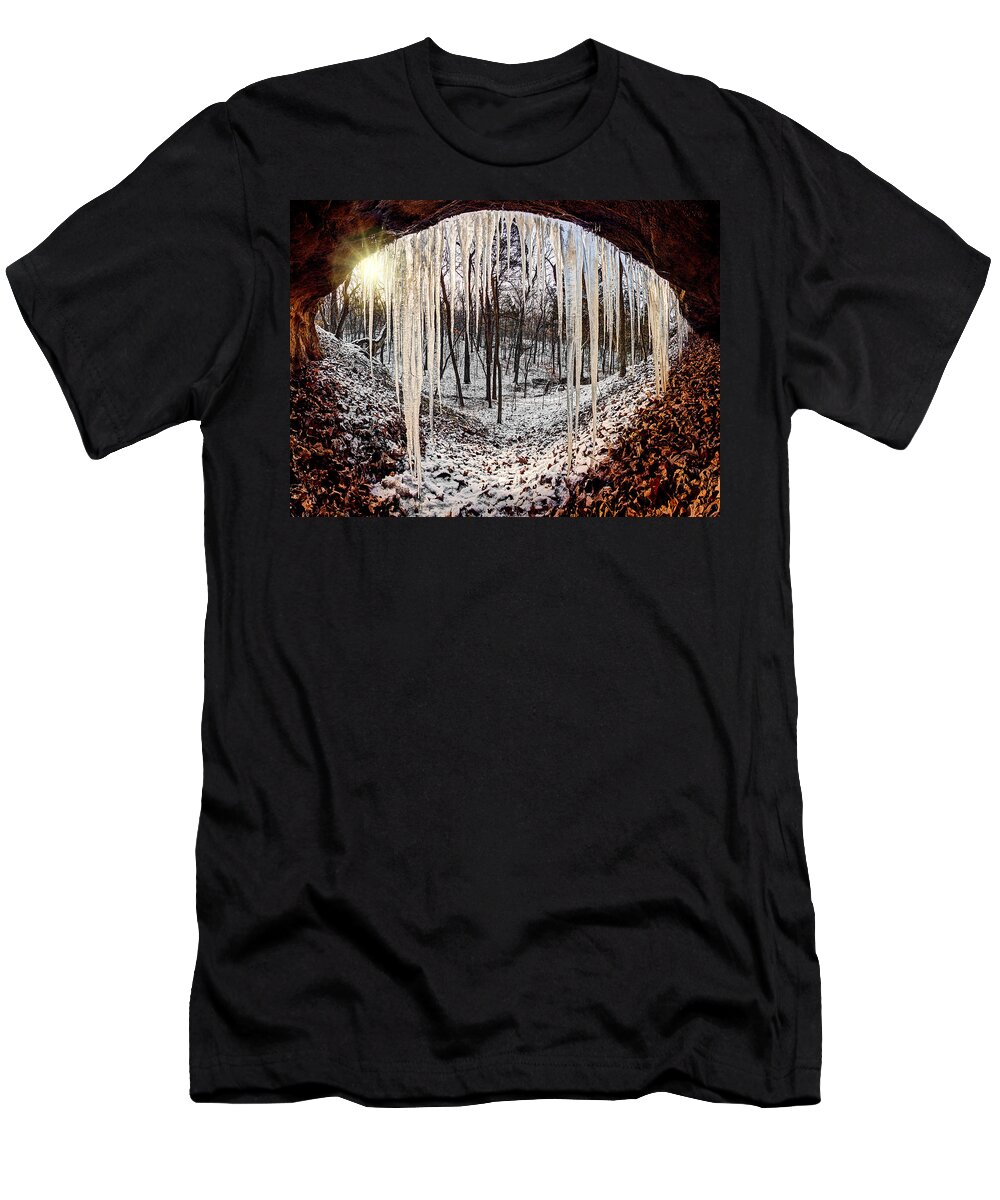 2012 T-Shirt featuring the photograph Hinding from winter by Robert Charity