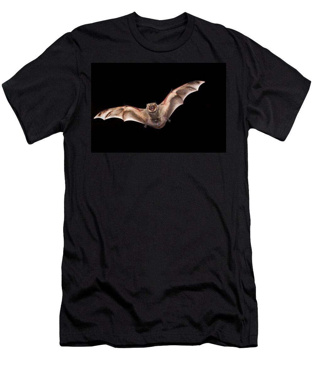 Feb0514 T-Shirt featuring the photograph Hoary Bat Male Georgia by Michael Durham